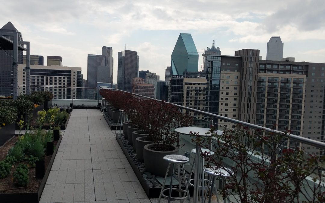BCG Dallas – Best Areas Nearby for Recent Grads