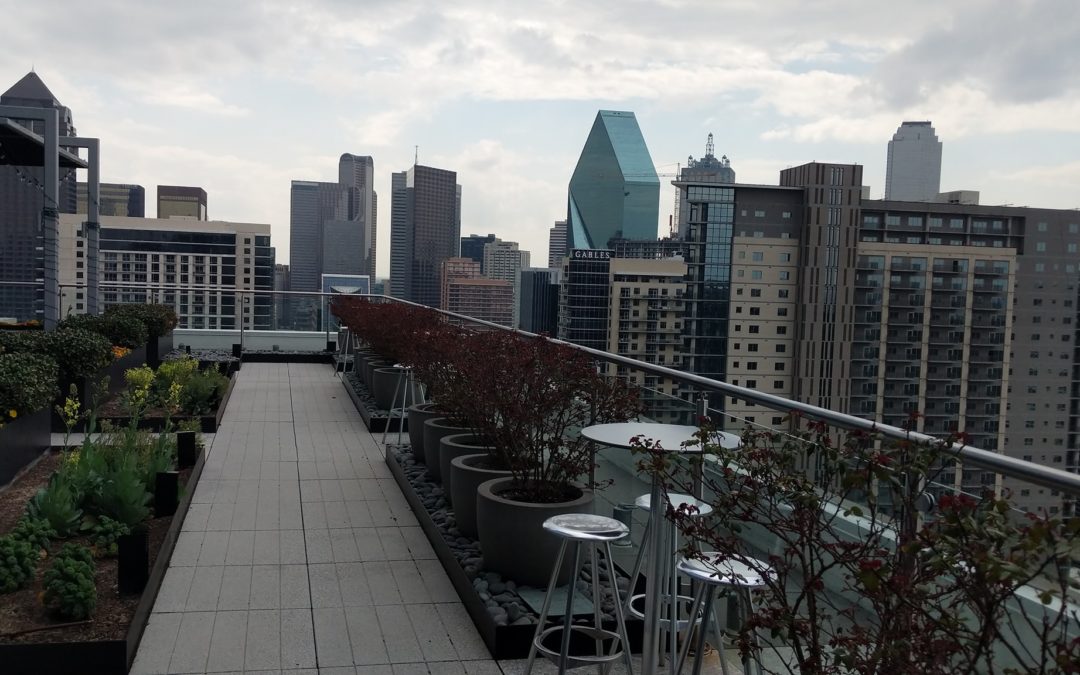 BCG Dallas Apartment Locating Service